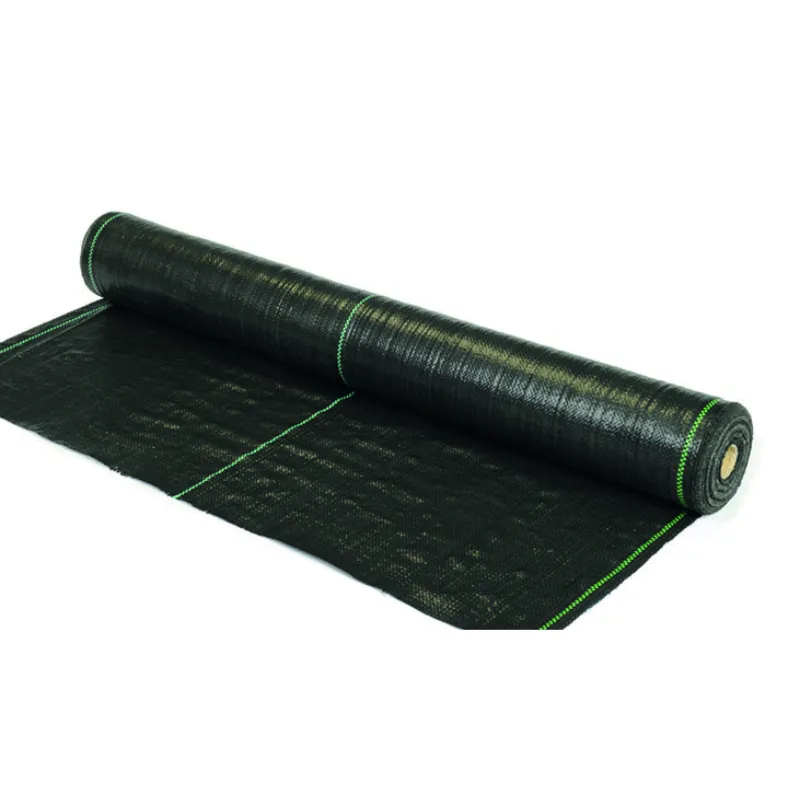 בד אגריפל שחור