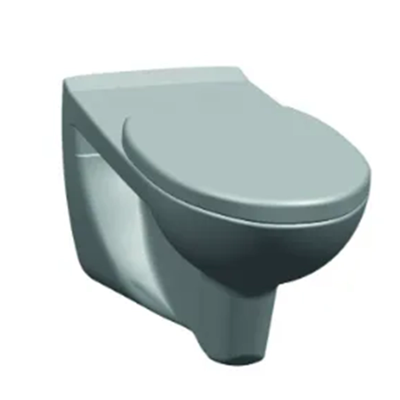 אסלה תלויה לנכים